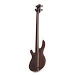 купить Бас-гітара Cort A4 Ultra Ash (Etched Natural Black)