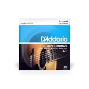 Струни для акустичної гітари  D'Addario 80/20 Bronze Regular Light (12-53) (EJ11) купити