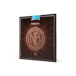 Струни для гітари D'Addario Nickel Bronze Light (12-53) (NB1253) придбати
