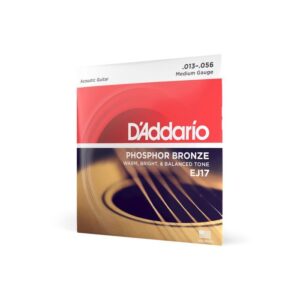 купити Струни для гітари D'Addario Phosphor Bronze Medium (13-56) (EJ17)