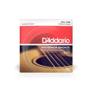 Струни для акустичної гітари  D'Addario Phosphor Bronze Medium (13-56) (EJ17) купити