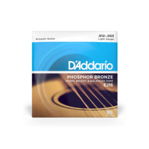 Струни для акустичної гітари  D'Addario Phosphor Bronze Regular Light (12-53) (EJ16) купити