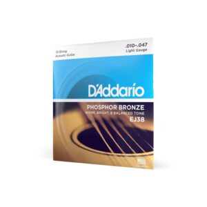 купити Струни для гітари D'Addario Phosphor Bronze Regular Light 12-String (10-47) (EJ38)