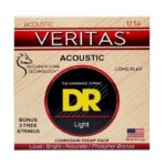 Струни для акустичної гітари  DR Strings VERITAS Coated Core Acoustic Guitar Strings - Light (12-54) (VTA-12) купити