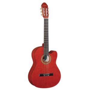 Класична гітара  Maxtone CGC-3910C купити
