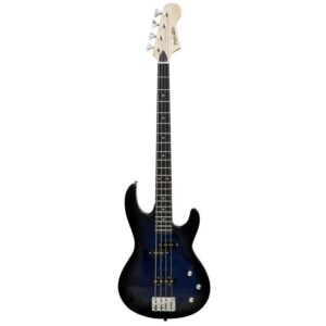 Бас гітара  Parksons PJB-15 Transparent Blue Burst  купити