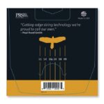 купити Струни для гітари PRS Signature David Grissom Guitar Strings (11-49) (100148004001004)