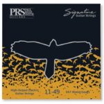 Струни   PRS Signature David Grissom Guitar Strings (11-49) (100148004001004) купити