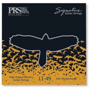 Струни   PRS Signature David Grissom Guitar Strings (11-49) (100148004001004) купити