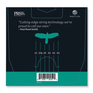 купити Струни для гітари PRS Signature Heavy Guitar Strings 12-52 (100148006001004)