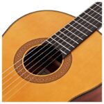 купить Гітара класична Yamaha CG122MS